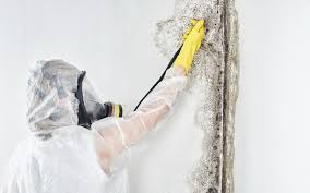 Mold Removal for HVAC Installations in Shrewsbury, PA